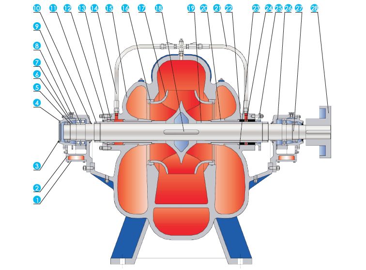 QFSS双吸泵结构图